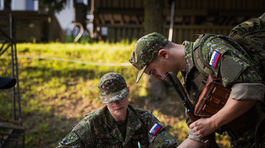 Národné obranné sily