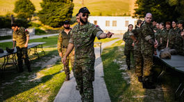 Národné obranné sily