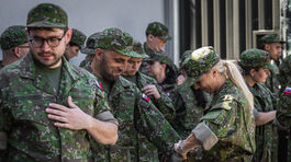 Národné obranné sily