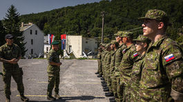 Národné obranné sily