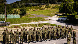 Národné obranné sily