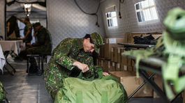 Národné obranné sily