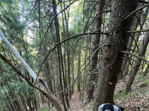 pátranie, pes, turista, veľká fatra