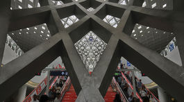 Foto týždňa: Peking, srnky, Louvre,