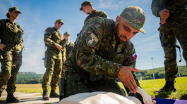 narodne obranne sily vycvik nos17