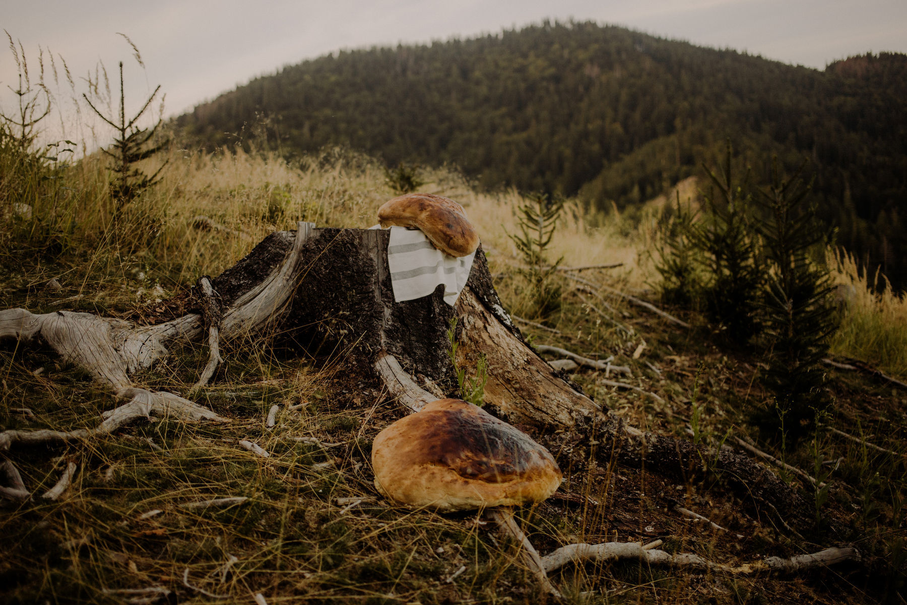 Efemérny pamätník pre kuchárku partizánov...