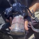 Izrael, Palestína, zabitá novinárka, Mariam Dagga