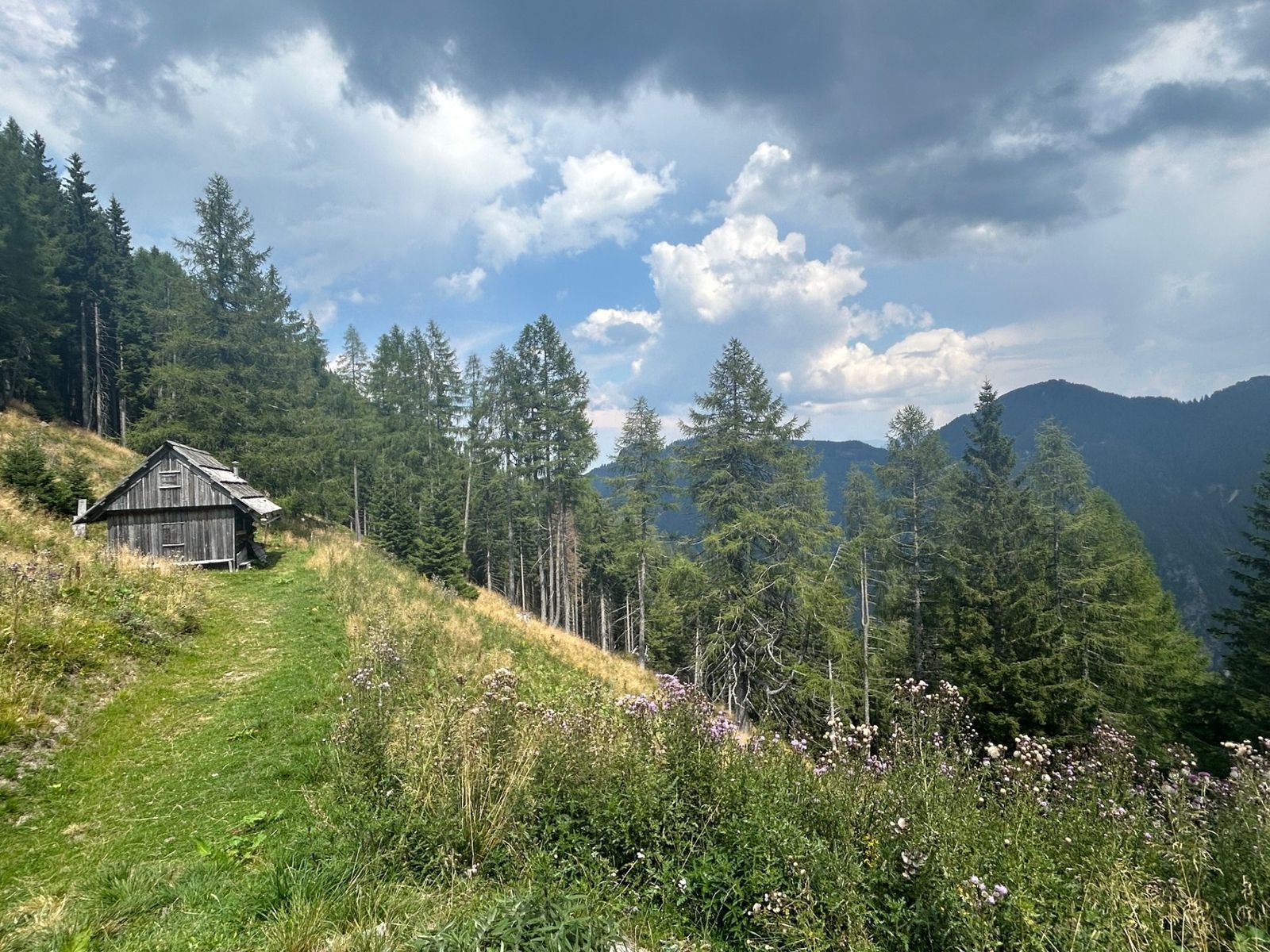Sedlo pod Golim vrchom v slovinských Alpách.