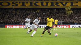 bern slovan pokorný