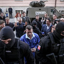 Milan Ondrik aligator MIKI