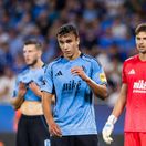 David Strelec Slovan