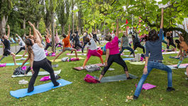 OPEN AIR JOGA, Piešťany