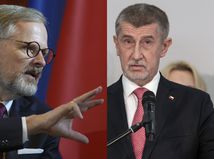 fiala s babisom kombifoto