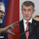 fiala s babisom kombifoto