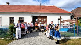 Múzeum Za Krakovskú bránu pri Piešťanoch