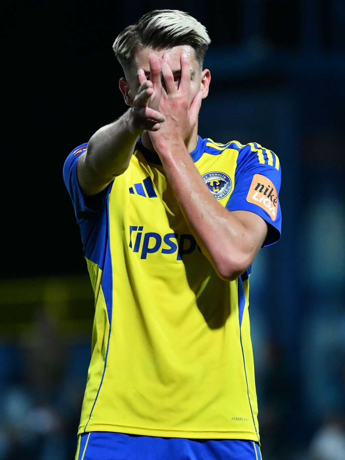 Mladý Ukrajinec dostane čoskoro slovenský pas.