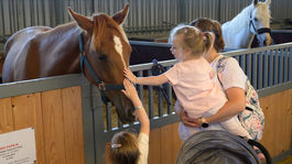SR Nitra Agrokomplex 2025, hospodárske zvieratá výstava začiatok N