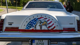 Autá sem prišli z akcie Hippie Car & Bike Show. 