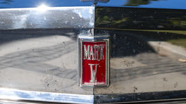 Autá sem prišli z akcie Hippie Car & Bike Show. 