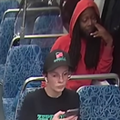 Iryna Zarucká, vražda,  Decarlos Brown