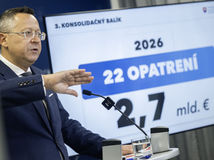 Ladislav Kamenický