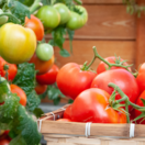 rajčiny, paradajky, rajčiaky,