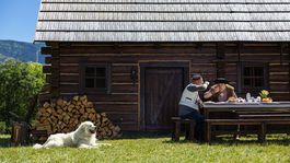 COOP Jednota, bača a honelník
