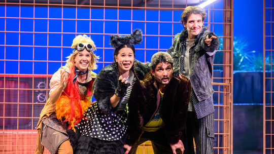 Bláznivé dobrodružstvo dvoch mačiatok Toma a...