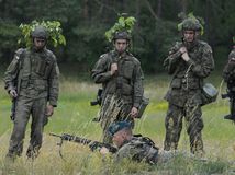 Poľsko, armáda, vojaci, streľba,