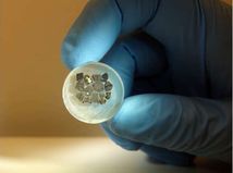 Náraz obrovského asteroidu pred 78 miliónmi...