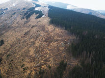 vyrúbané hory, Slovensko