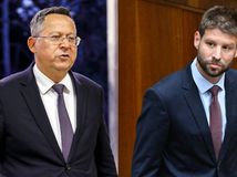 Ladislav Kamenický, Michal Šimečka