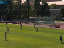 Brankár z béčka Slovana sa stal virálnym...