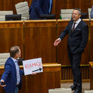 Igor Matovič / Ladislav Kamenický /