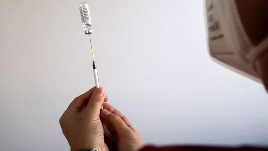 Cikáda nie je hmyz, je to podvariant Covidu. U nás máme oficiálne len jediný prípad