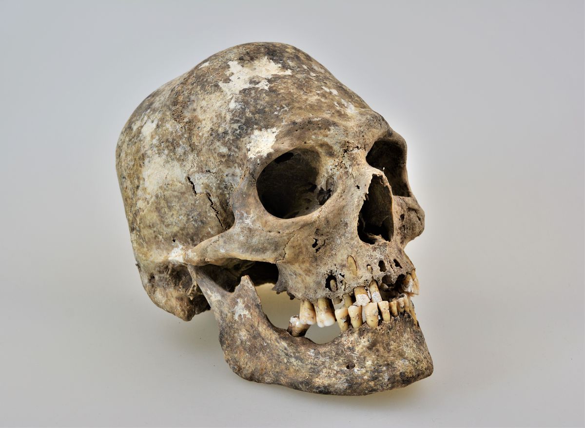 Lebka muža z predslovanského pohrebiska v...