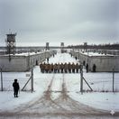 Ruská kolónia - obrázok vytvorený AI