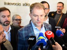 SR NRSR ústava zmena novela schválenie BAX, Igor Matovič