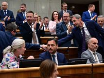Dve pohlavia aj prísnejšie adopcie: parlament schválil zmenu ústavy. Dvaja poslanci od Matoviča prekvapili a hlasovali za