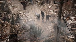 Russia / Ukraine / Kyiv /