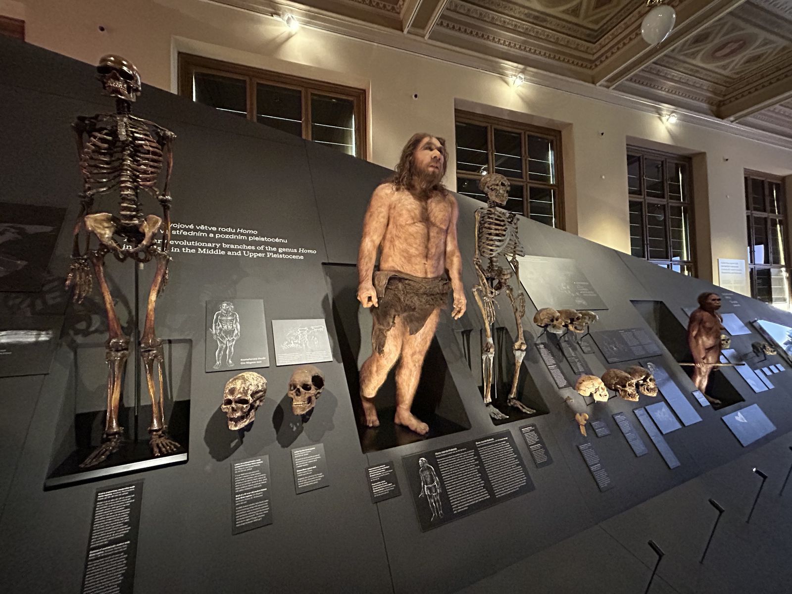 Pohľad do výstavy Lucy a Selam v pražskom...