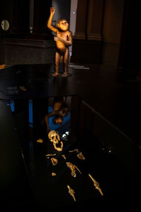 Takto vyzerala Selam - dvaapolročné dievčatko...