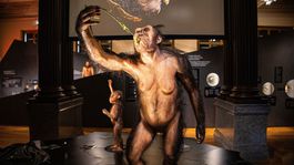 Hyperrealistické modely predchodcov človeka...