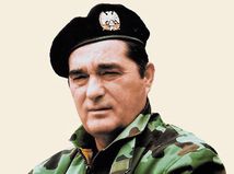 Nebojša Pavkovič