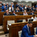 Ústava / Poslanci / Parlament /
