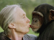 Obit Jane Goodall