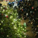 Vianoce, Bratislava, vianočné trhy, advent, vianočná stromček