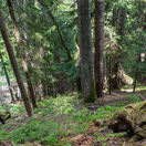 Pavol Fejér, Studienec, NAPANT