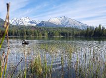 SR Vysoké Tatry Čisté vody potápači POX