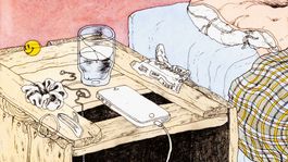 BIB, Jensen Dalgaard